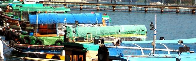 inglês em Sai Kung com Language International